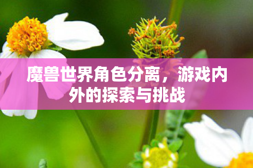 游戏内外的探索与挑战图片