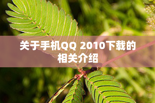 关于手机QQ 2010下载的相关介绍图片