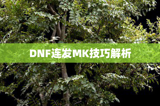 DNF连发MK技巧解析图片
