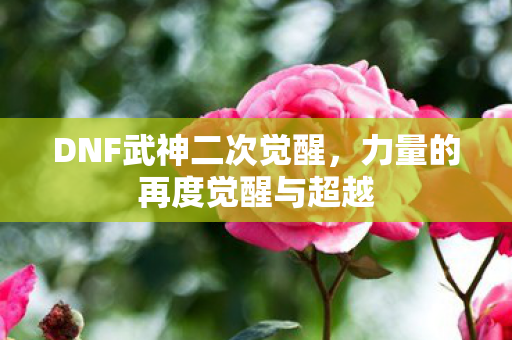 力量的再度觉醒与超越图片