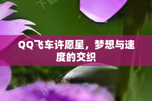 梦想与速度的交织图片
