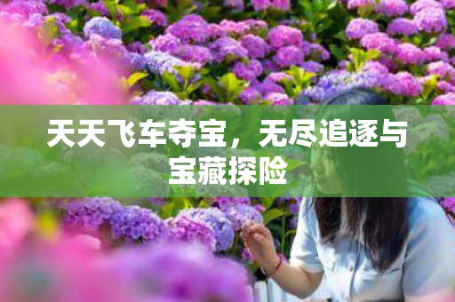 无尽追逐与宝藏探险图片