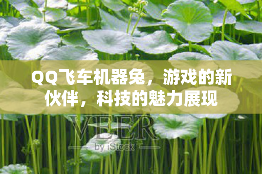 QQ飞车机器兔图片