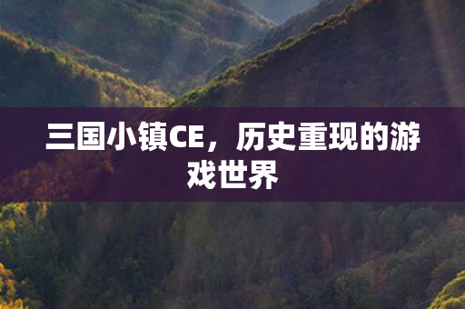 历史重现的游戏世界图片