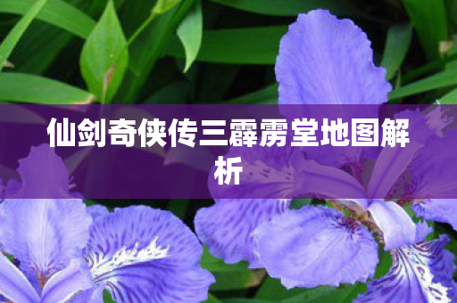 仙剑奇侠传三霹雳堂地图解析图片