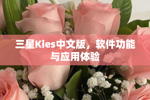 三星Kies中文版图片