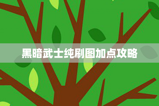 黑暗武士纯刷图加点攻略图片