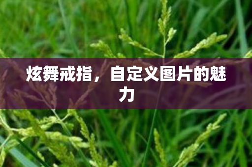 自定义图片的魅力图片