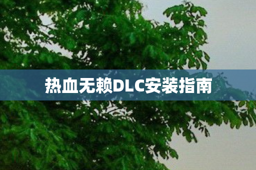 热血无赖DLC安装指南图片