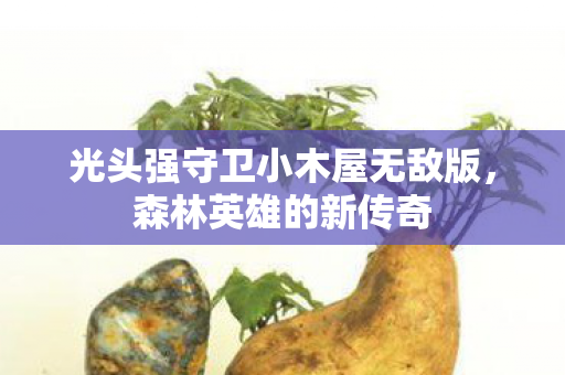 光头强守卫小木屋无敌版图片