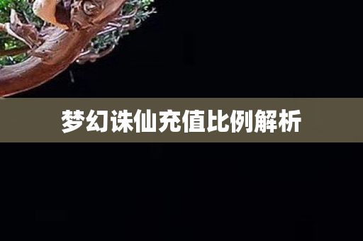 梦幻诛仙充值比例解析图片