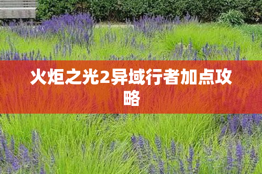 火炬之光2异域行者加点攻略图片