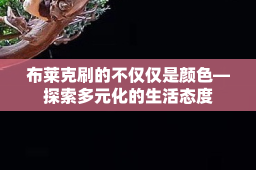 布莱克刷的不仅仅是颜色图片