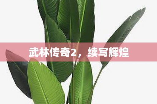 武林传奇2图片