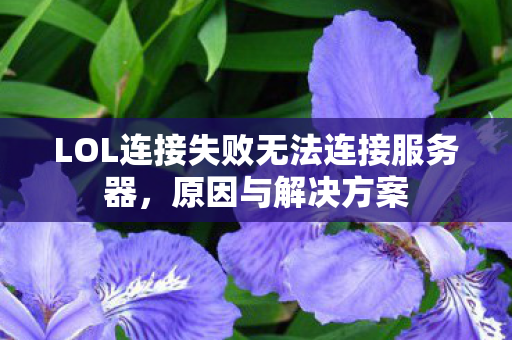 LOL连接失败无法连接服务器图片