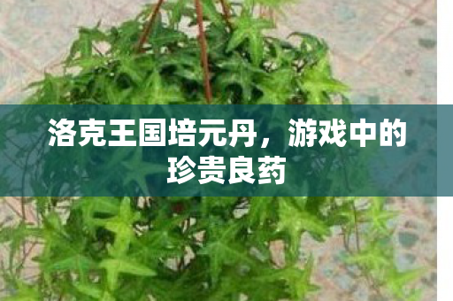 游戏中的珍贵良药图片