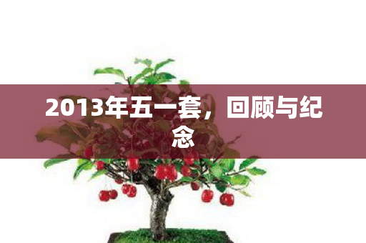 2013年五一套图片