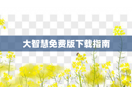 大智慧免费版下载指南图片