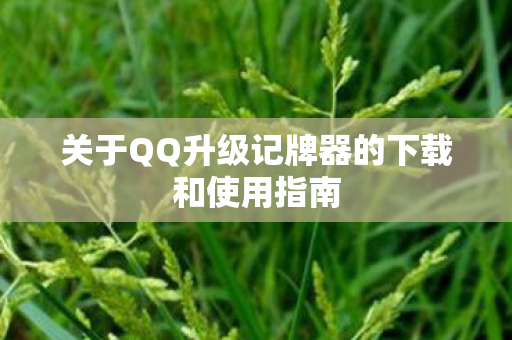关于QQ升级记牌器的下载和使用指南图片