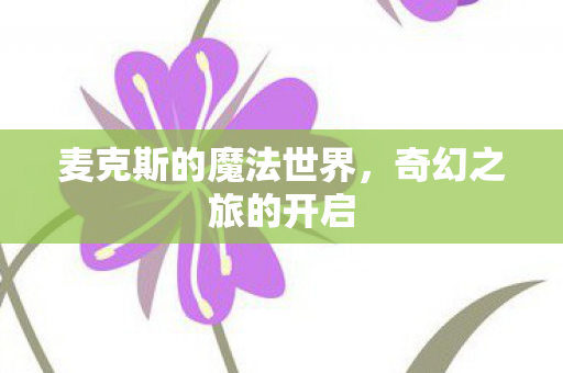 麦克斯的魔法世界图片