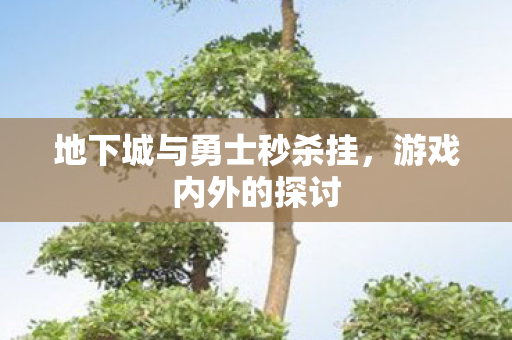 地下城与勇士秒杀挂图片