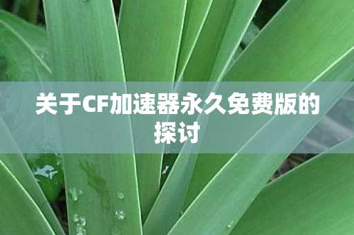 关于CF加速器永久免费版的探讨图片