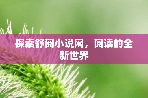 探索舒阅小说网图片