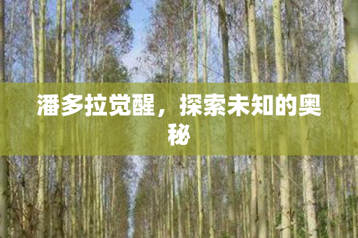 探索未知的奥秘图片