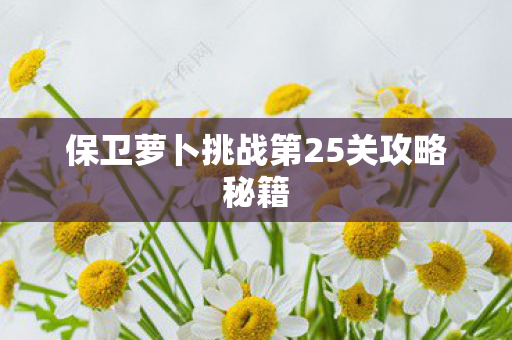保卫萝卜挑战第25关攻略秘籍图片
