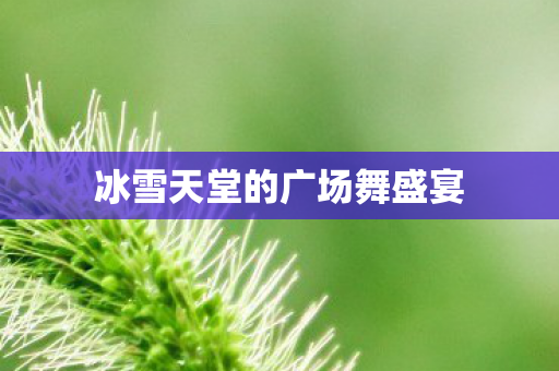 冰雪天堂的广场舞盛宴图片