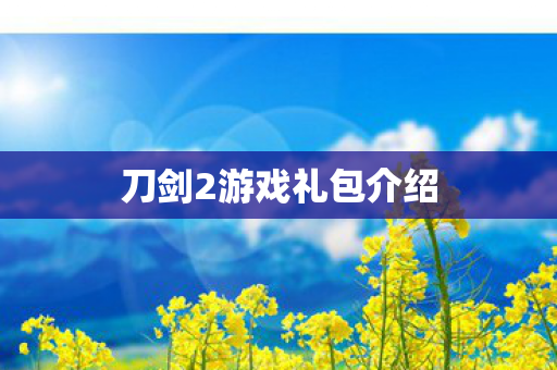 刀剑2游戏礼包介绍图片