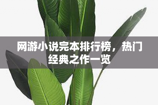网游小说完本排行榜图片