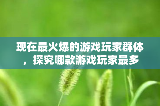 现在最火爆的游戏玩家群体图片