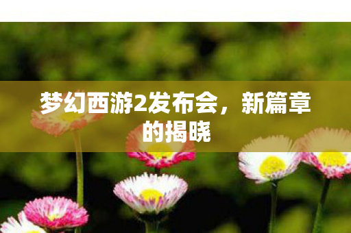 梦幻西游2发布会图片
