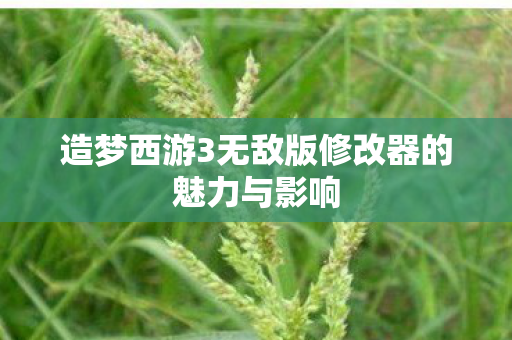 造梦西游3无敌版修改器的魅力与影响图片