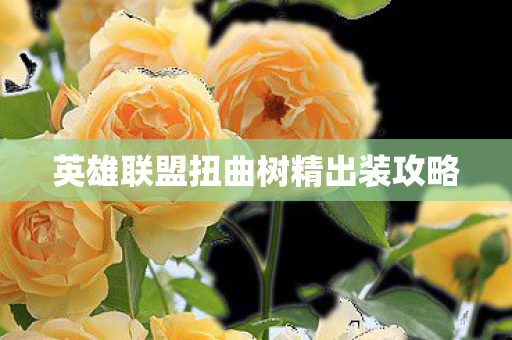 英雄联盟扭曲树精出装攻略图片