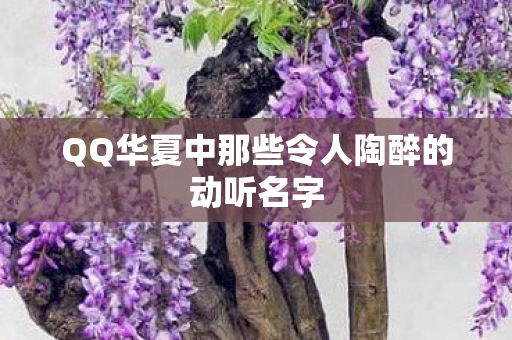 QQ华夏中那些令人陶醉的动听名字图片