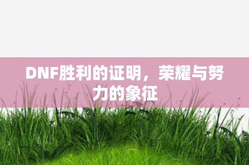 DNF胜利的证明图片