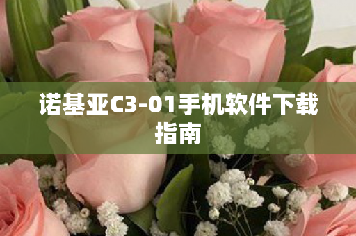 01手机软件下载指南图片
