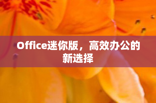 Office迷你版图片
