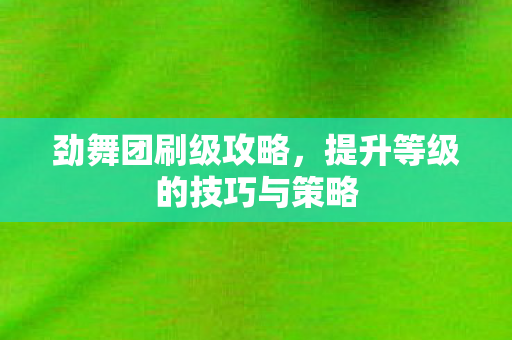 提升等级的技巧与策略图片