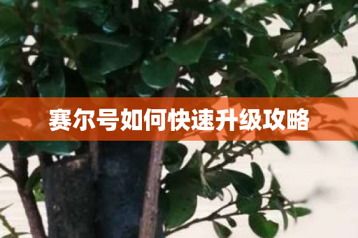 赛尔号如何快速升级攻略图片