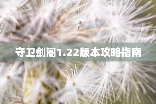 22版本攻略指南图片