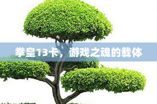 游戏之魂的载体图片