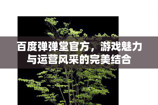 游戏魅力与运营风采的完美结合图片