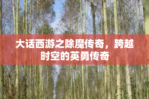 大话西游之除魔传奇图片