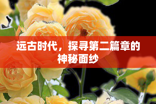 探寻第二篇章的神秘面纱图片