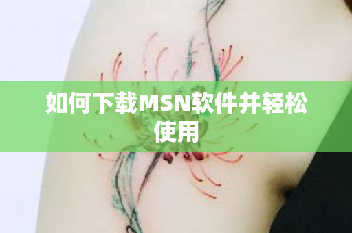 如何下载MSN软件并轻松使用图片