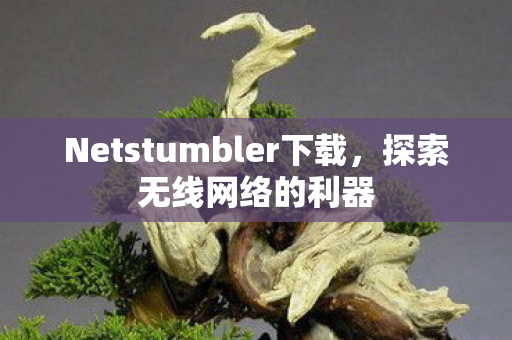 Netstumbler下载图片