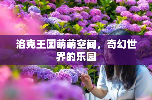 洛克王国萌萌空间图片
